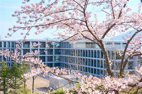 apu ritsumeikan housing